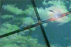 Gewächshaus Tunnel Treibhaus Frühbeet Pflanzbeet Tomatenhaus 600x300 cm 6x3 m