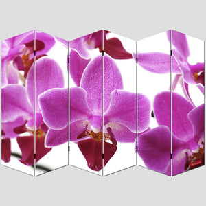 Foto-Paravent Paravent Raumteiler 180x240cm, Orchidee