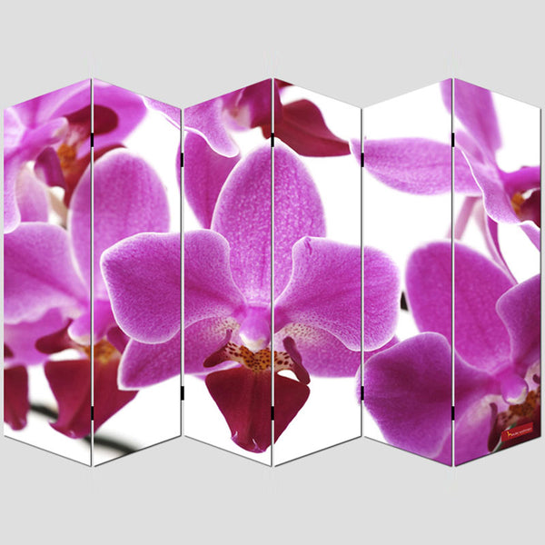 Foto-Paravent Paravent Raumteiler 180x240cm, Orchidee