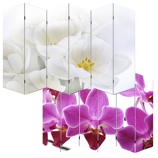 Foto-Paravent Paravent Raumteiler 180x240cm, Orchidee