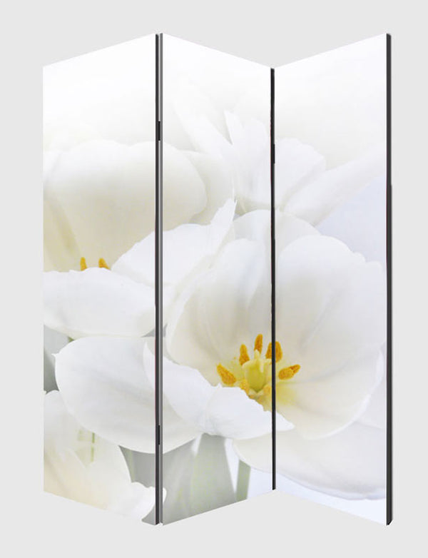 Foto-Paravent Raumteiler 180x120cm Orchidee