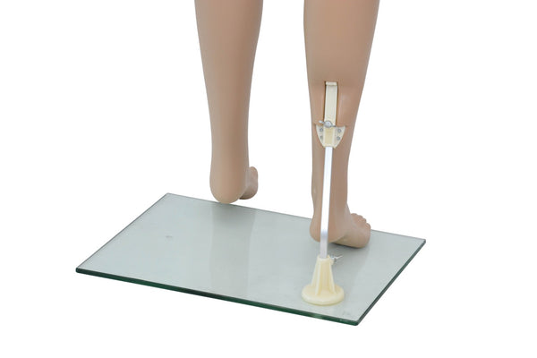 Mannequin (femme)