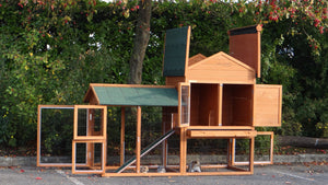 Hasenstall Kaninchenstall Prestige Medium mit Nagerschutz und Auslauf