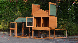 Hasenstall Kaninchenstall Prestige Medium mit Nagerschutz und Auslauf