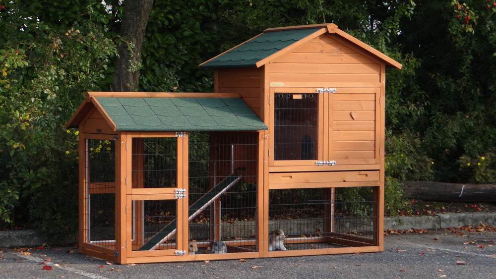 Rabbit hutch Prestige Medium with rodent protection and run