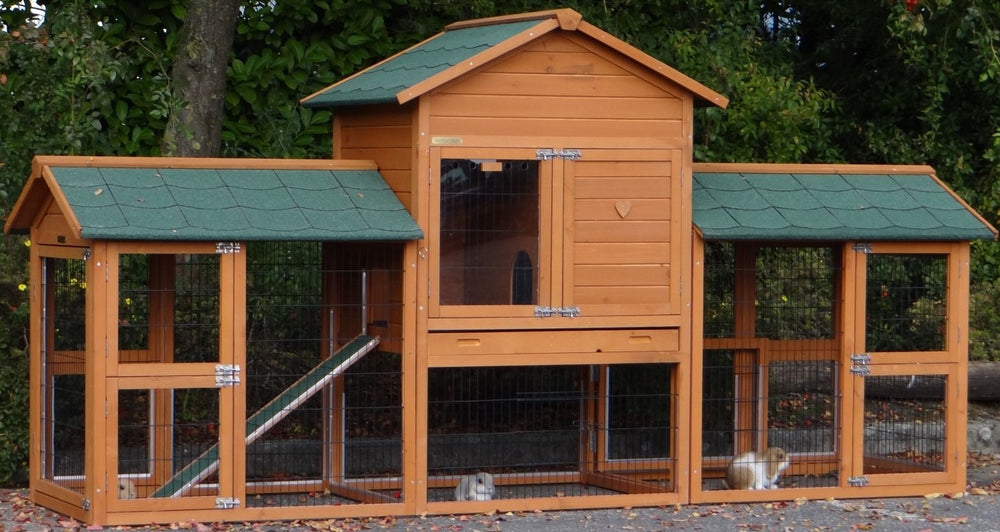 Prestige Medium rabbit hutch with rodent protection and run