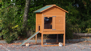 Hasenstall für 1-3 Kaninchen - Kaninchenstall mit Nagerschutz