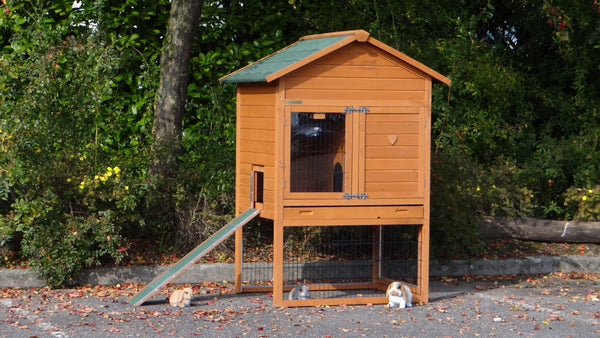 Hasenstall für 1-3 Kaninchen - Kaninchenstall mit Nagerschutz