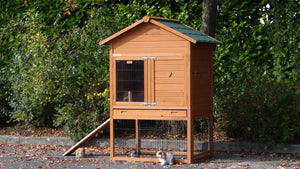 Hasenstall für 1-3 Kaninchen - Kaninchenstall mit Nagerschutz