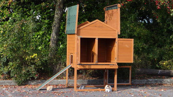 Hasenstall für 1-3 Kaninchen - Kaninchenstall mit Nagerschutz