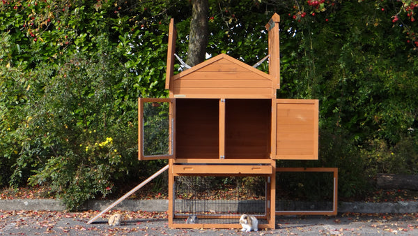 Hasenstall für 1-3 Kaninchen - Kaninchenstall mit Nagerschutz