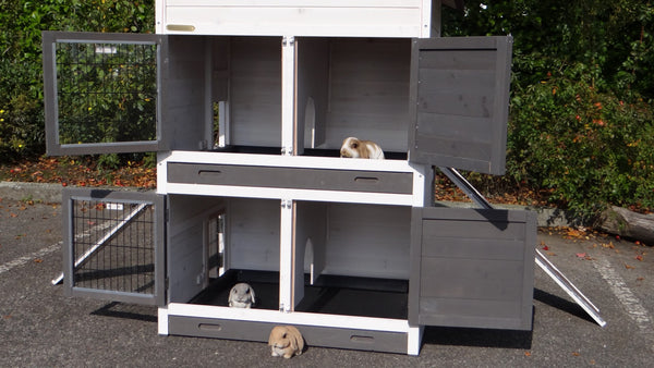Hasenstall für 2-6 Kaninchen - Kaninchenstall Double