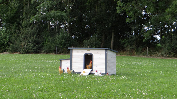 Hasenstall für 3-7 Kaninchen - Kaninchenstall Eva