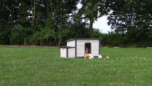 Hasenstall für 3-7 Kaninchen - Kaninchenstall Eva