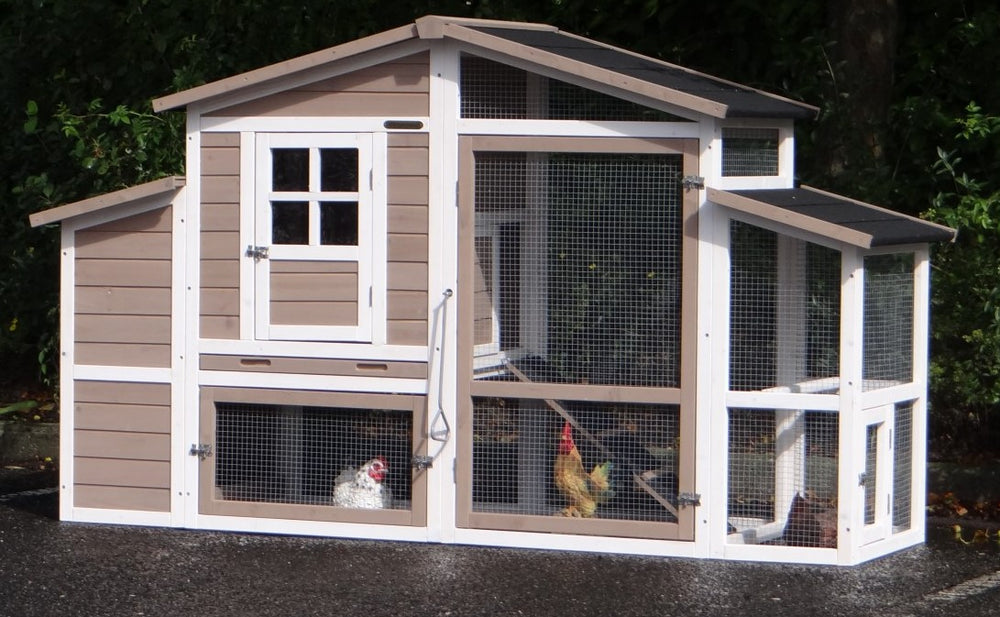 Pollaio per 2-4 galline Leah 