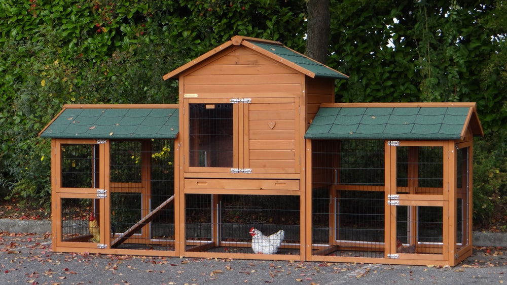 Pollaio per 3-5 galline, Prestige Medium - doppio recinto