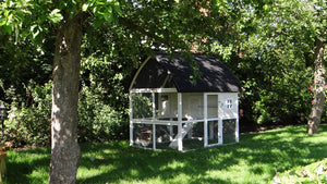Hühnerstall 4-6 Hühner Kathedrale mit Stauraum