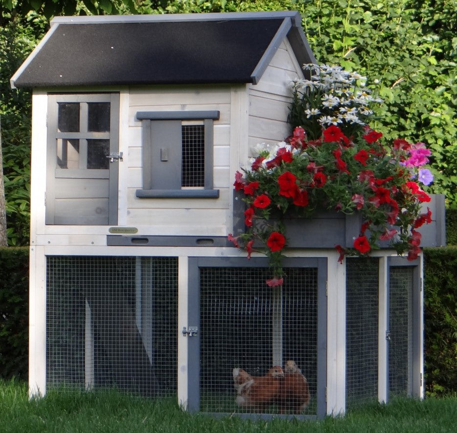 Pollaio per 4 galline Sunshine - piano terra rialzato