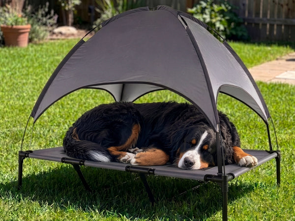 Hundebett Katzenbett erhöht mit Sonnendach XL anthrazit/schwarz