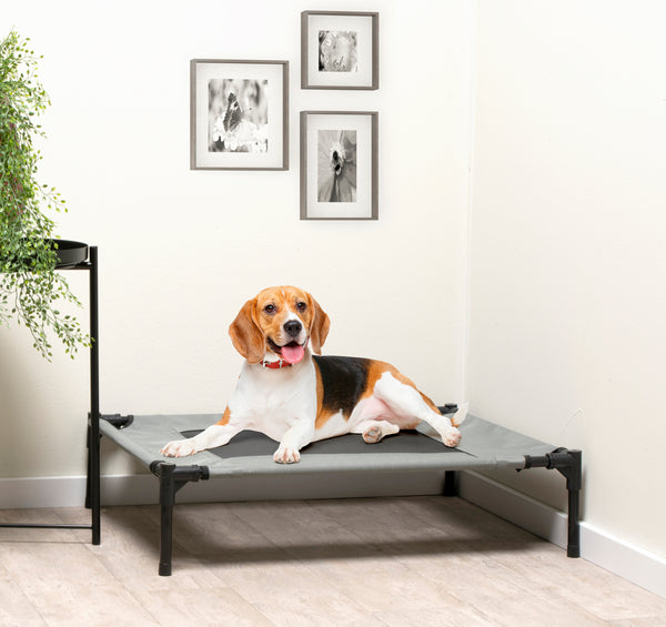 Hundebett erhöht M grau/schwarz