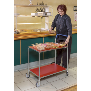 Tischwagen 2 Böden, bis 150kg belastbar, 4 Lenkrollen, weiss