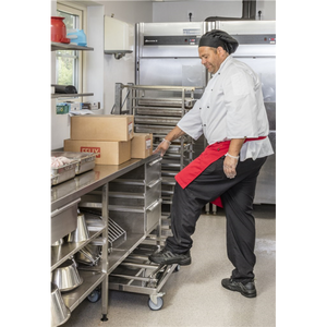 Edelstahl Plattformwagen mit höhenverstellbarem Griff, Klasse C2 Edelstahl 18/0