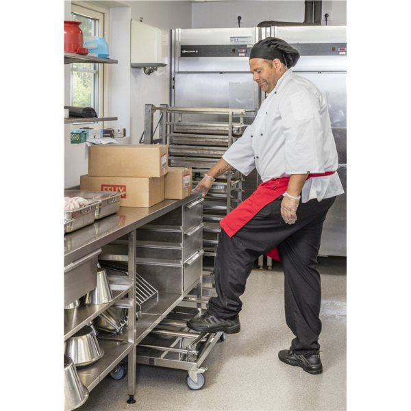 Edelstahl Plattformwagen mit höhenverstellbarem Griff, Klasse C2 Edelstahl 18/0