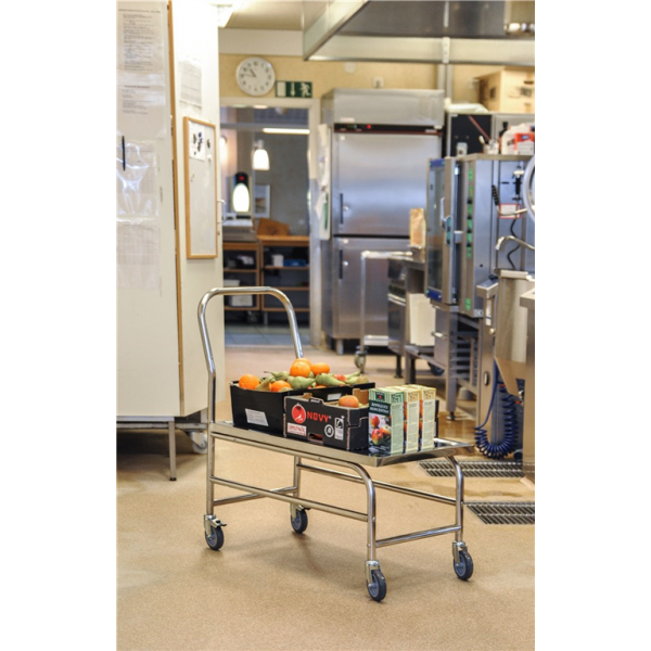 Edelstahlwagen Plattformwagen C2, 18/0, bis 100kg belastbar, 4 Lenkrollen, 2 davon mit Bremse