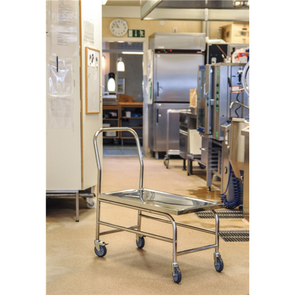 Edelstahlwagen Plattformwagen C2, 18/0, bis 100kg belastbar, 4 Lenkrollen, 2 davon mit Bremse