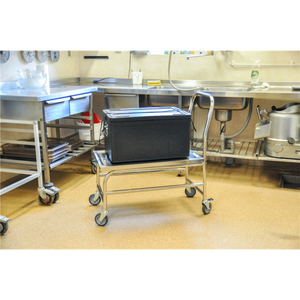 Edelstahlwagen Plattformwagen C2, 18/0, bis 100kg belastbar, 4 Lenkrollen, 2 davon mit Bremse