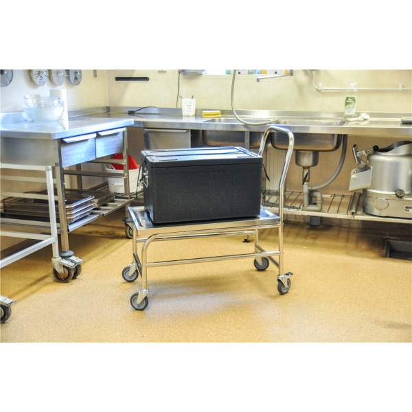 Edelstahlwagen Plattformwagen C2, 18/0, bis 100kg belastbar, 4 Lenkrollen, 2 davon mit Bremse