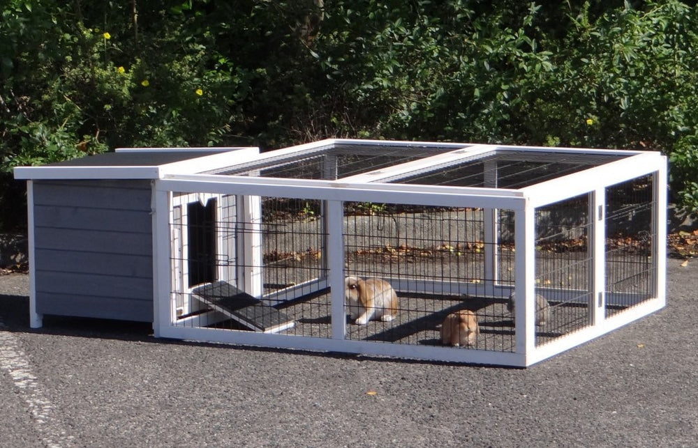 Rabbit hutch Little White with run