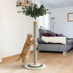 Katzenbaum Kratzstamm ARBORIS 120 cm