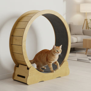 Katzenlaufrad 100 cm braun