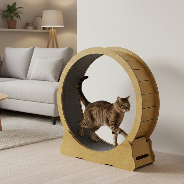 Katzenlaufrad 91 cm braun