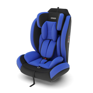 Kindersitz Auto blau