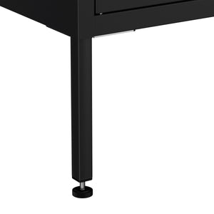 Kommode Metall KLAUS 2 Schubladen 2 Türen 80 x 101 cm schwarz
