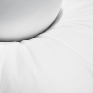 Kopfkissen SWAN 65 x 65 cm 2er Set weiss