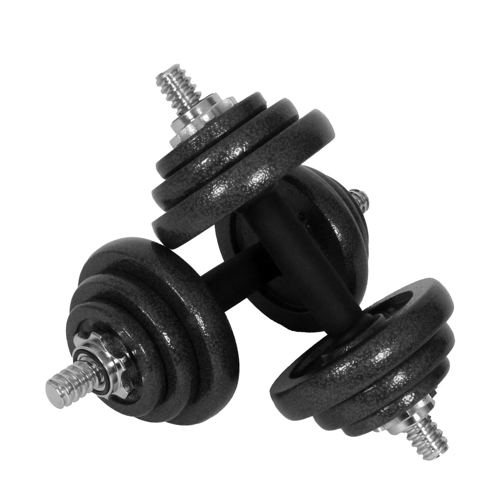 dumbbell 2 x 10 kg