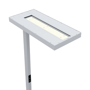 LED Stehlampe LANA dimmbar mit Bewegungsmelder silber