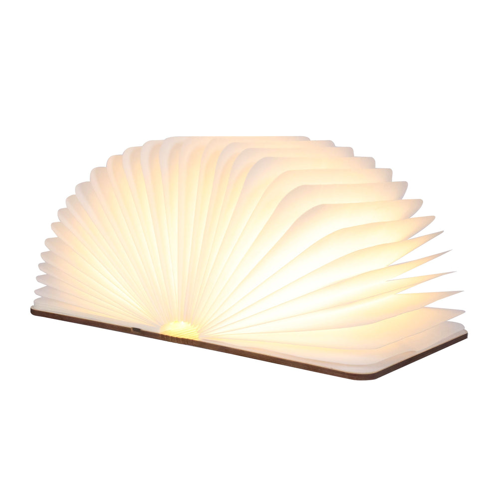 Lampada da tavolo/libro a LED 21 x 17 cm