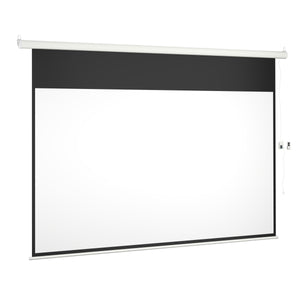 Leinwand Beamer elektrisch mit Fernbedienung 266 x 149 cm