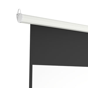 Leinwand Beamer elektrisch mit Fernbedienung 266 x 149 cm