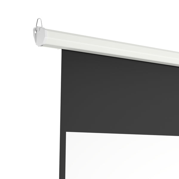 Leinwand Beamer elektrisch mit Fernbedienung 266 x 149 cm