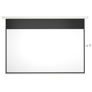 Leinwand Beamer elektrisch mit Fernbedienung 266 x 149 cm
