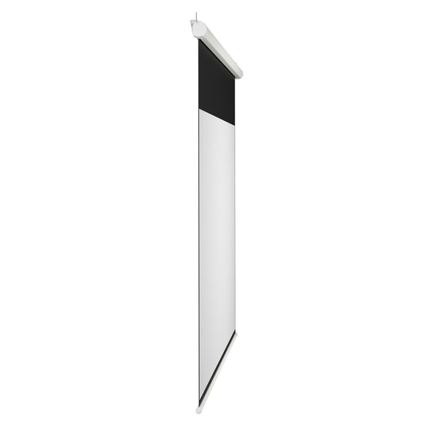 Leinwand Beamer elektrisch mit Fernbedienung 266 x 149 cm