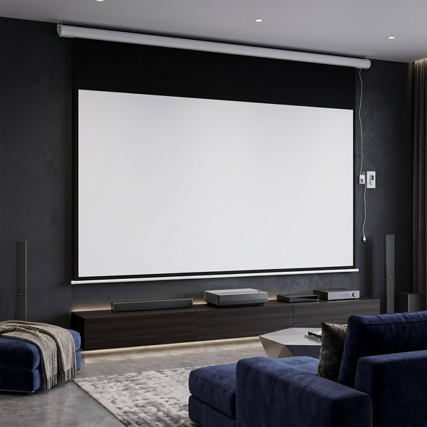 Leinwand Beamer elektrisch mit Fernbedienung 266 x 149 cm