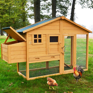 Hühnerstall Hühnervoliere Luxus mit Freilauf & Nistkasten