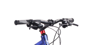 MTB Fatbike 26"" Bear-X
