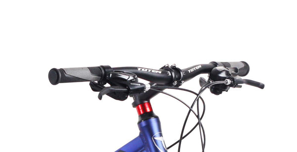 MTB Fatbike 26"" Bear-X